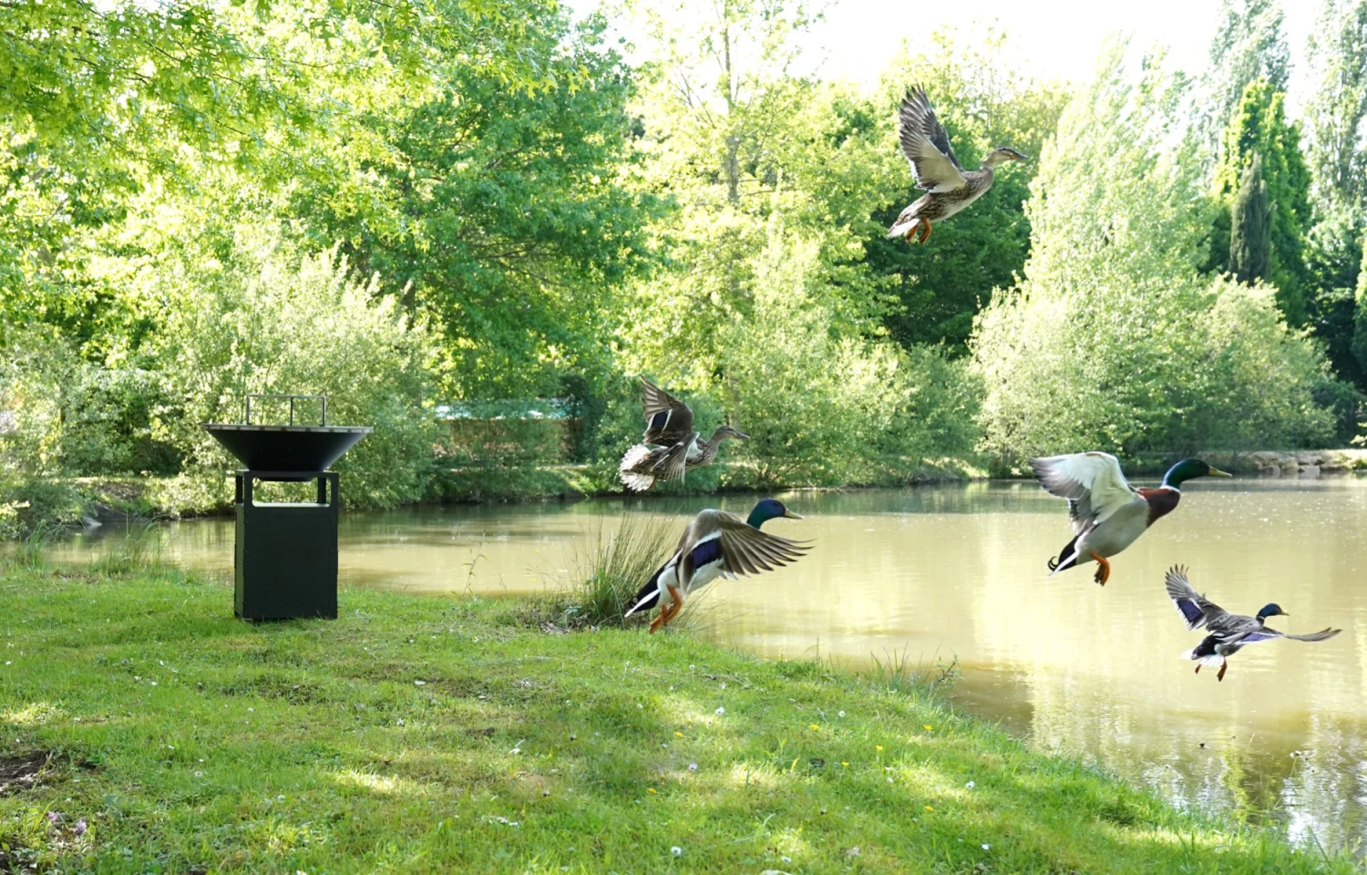 Brasero Plancha Haut NOIR - Diamètre 1m 11 Brasero Plancha Haut NOIR - Diamètre 1m – Image 9