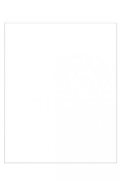 Protection Murale - UNIE V - BLANC - DIXNEUF